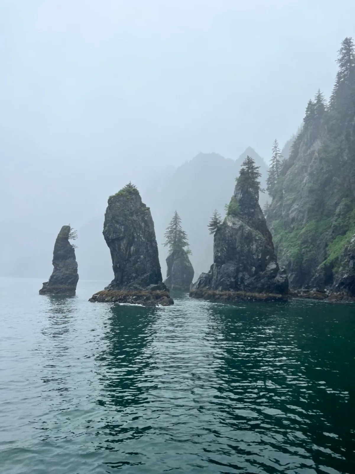 Several jagged sea stacks crowned with small spruce trees rising out of calm fjord water in heavy fog.