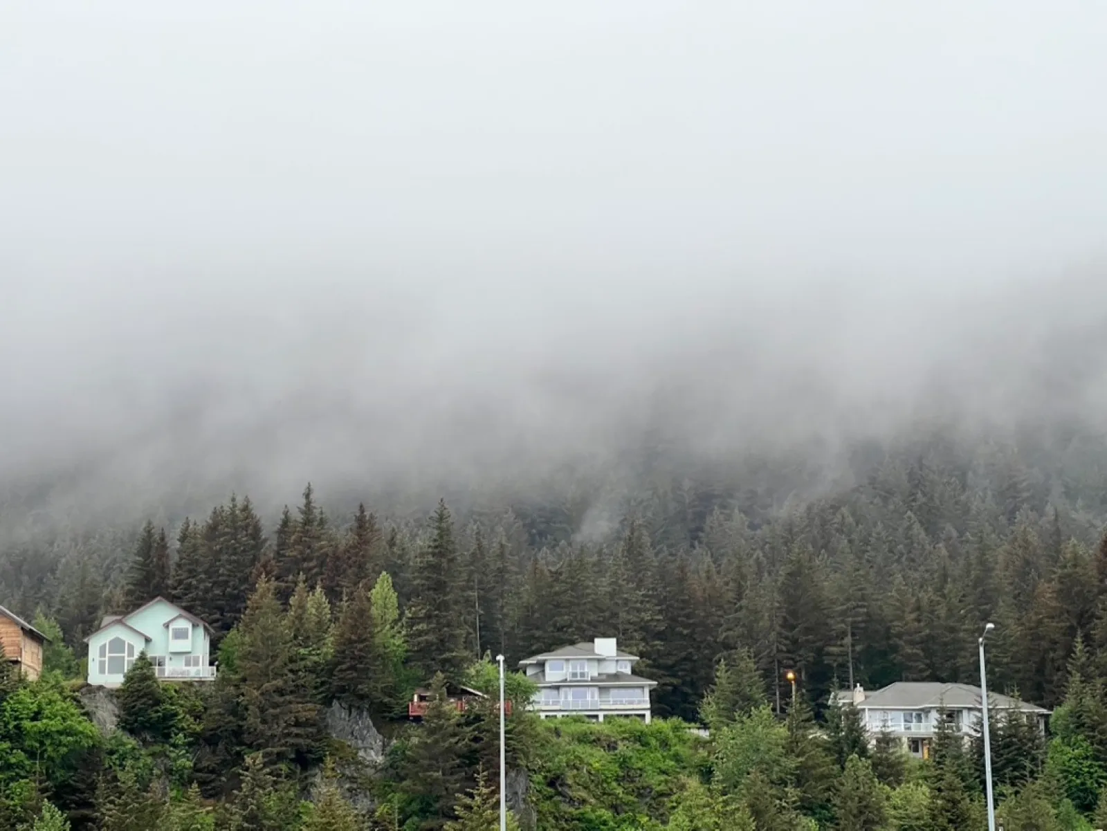 Houses perched on a forested ridge above Seward, halfway obscured by low cloud.